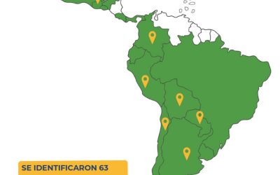 mAPA mAPA